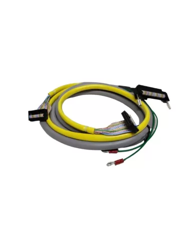 Kabel – SPS-Ausgang fcn40 2 g70v mil20. 2 m